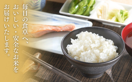 新潟県産 「新之助」 5kg 出雲崎 令和7年産 | 新之助 出雲崎町