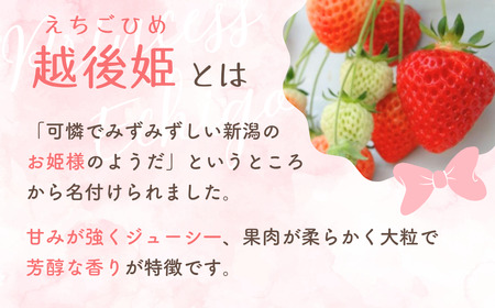 【越後姫 いちご】オリジナルジェラート（90ml 5個）コンフィチュール いちごジャム （100g 1個） | ジャム 新潟県 出雲崎町