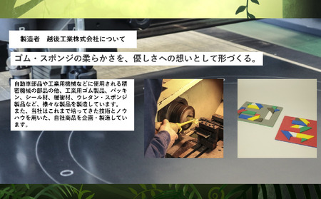 【フィギュア】プテラノドン親子セット | フィギュア 新潟県 出雲崎町