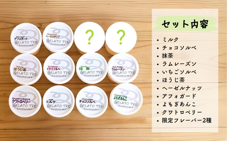 ジェラート 手作りジェラート詰め合わせ 12種類（12個入） | ジェラート 新潟県 出雲崎町