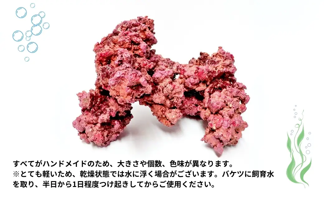 【養殖】クラフトロック | 水槽 新潟県 出雲崎町