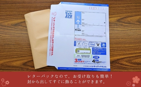 ミニ畳 小2枚 インテリア畳 | 新潟県 出雲崎町