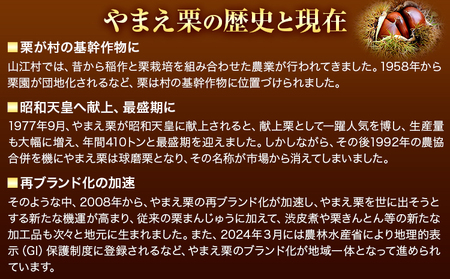 GI認証登録 山江村の やまえ栗 生栗 2kg 品種指定なし 筑波 美玖里 など旬の品種 やまえ栗ブランド部会 有限会社やまえ堂《9月下旬-10月中旬頃出荷》熊本県 球磨郡 山江村 栗 くり フルーツ 熊本県産 果物 早期 予約 