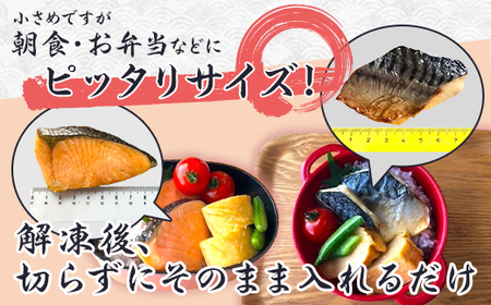 H7-A7A【3ヶ月連続お届け】調理済 焼魚 煮魚 食べ比べセット