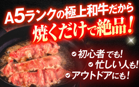 長崎和牛A5ランク極上サーロインスライス（400ｇ）[OCH017]