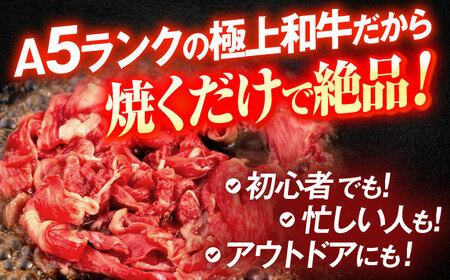 長崎和牛A5ランク 赤身切り落とし（モモ･バラ）（400g）[OCH021]