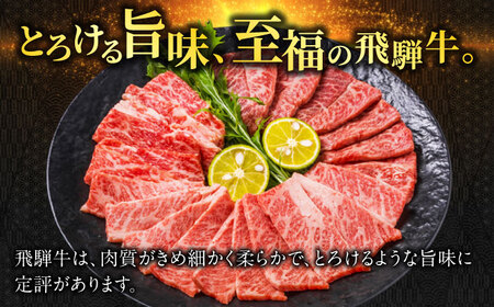 飛騨牛赤身・霜降りMIX切落し焼肉500g 飛騨牛 赤身 霜降り[ANBO024]