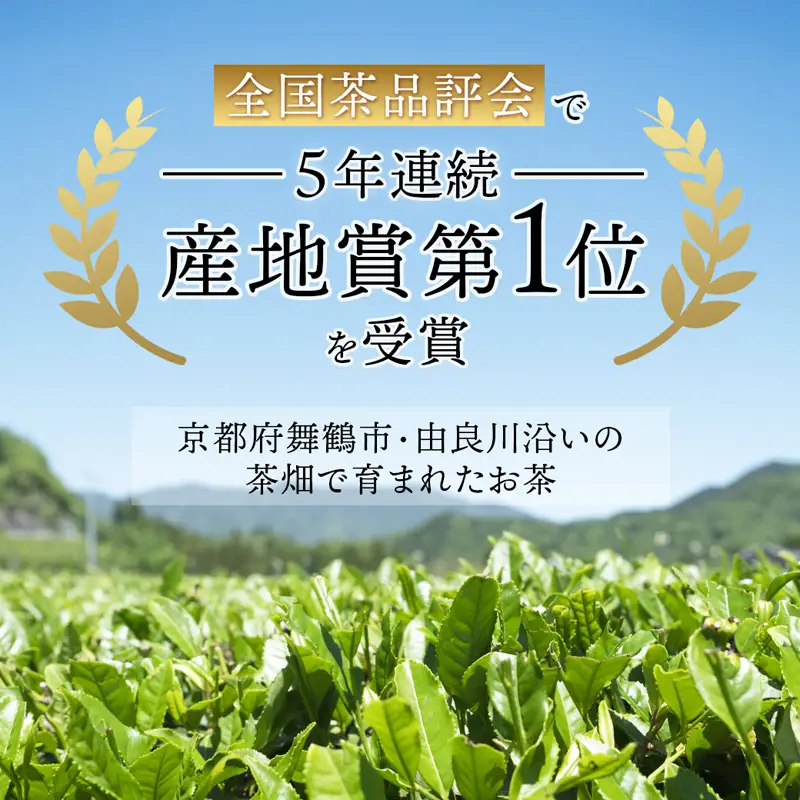 舞鶴茶 ティーバッグ みたらしちゃんギフト 煎茶 6パック（18杯分）