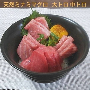 a30-158　天然ミナミマグロ 大トロ 中トロブロック 約1kg