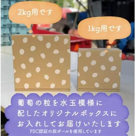 【2026年発送】巨峰ぶどう(種なし) 2kg 以上 産地直送 山梨県山梨市牧丘産【配送不可地域：離島・沖縄県】【1535988】