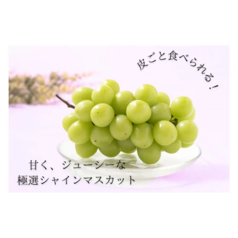 シャインマスカット約1kg
