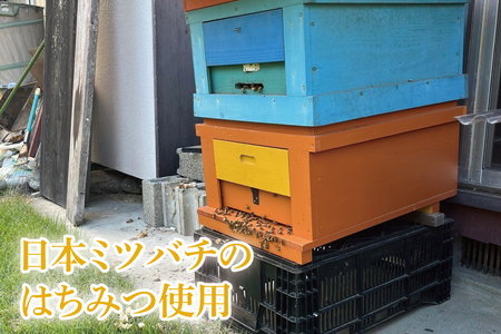【先行予約】日本ミツバチの国産天然はちみつ 360g（180g×2本）(KH-2)