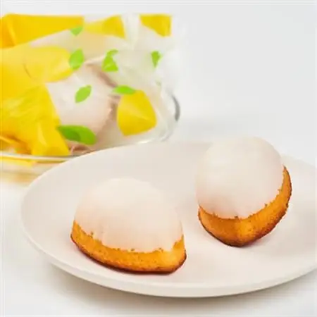 レモンケーキ10個入り_菓子・スイーツ 焼き菓子  _【1534110】