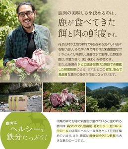 丹波山村 タバジビエ 鹿ゴロッケ(3パック)【tab0043】