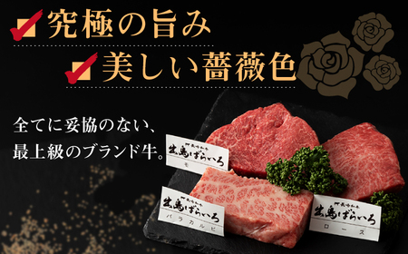 【全12回定期便】長崎和牛出島ばらいろステーキ3種盛り ロース モモ バラカルビ 計300g以上（各約100g×3）/ 肉 牛肉[RCI032] 長崎和牛 ステーキ 長崎和牛 ステーキ九州 長崎