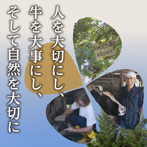【木津川市産】くろーばーみるくとよーぐるとセット① 生乳100％ 牛乳 ミルク 牛乳 ミルク ノンホモ 牛乳 029-07