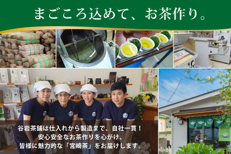 お茶 緑茶 釜炒り茶 朝霧しずく 70g×1本 [谷岩茶舗 宮崎県 日向市 452061607]
