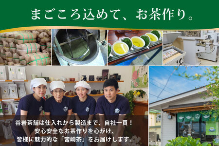 お茶 緑茶 釜炒り茶 朝霧しずく 70g×2本 [谷岩茶舗 宮崎県 日向市 452061608]