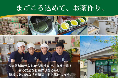 お茶 緑茶 釜炒り茶 朝霧しずく 70g×3本 [谷岩茶舗 宮崎県 日向市 452061609]
