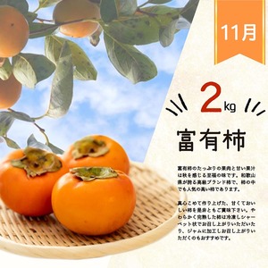 〈定期便〉【3・7・11月 全3回】紀州和歌山産旬のフルーツセット（せとか・桃・富有柿） ※離島への配送不可 ｜ フルーツ