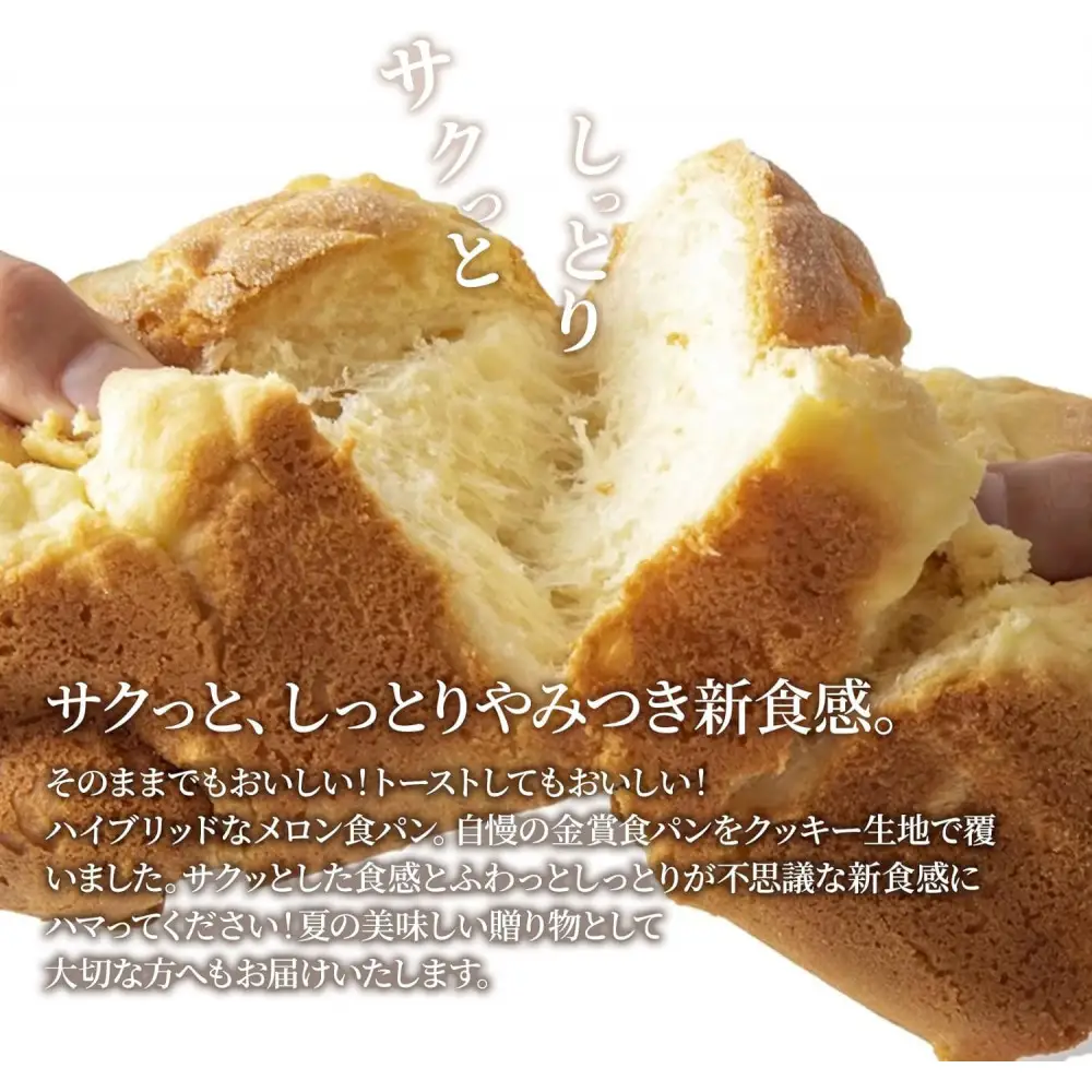 ＜定期便全3回＞【国産小麦使用】高級金賞食パン メロン 2本セット