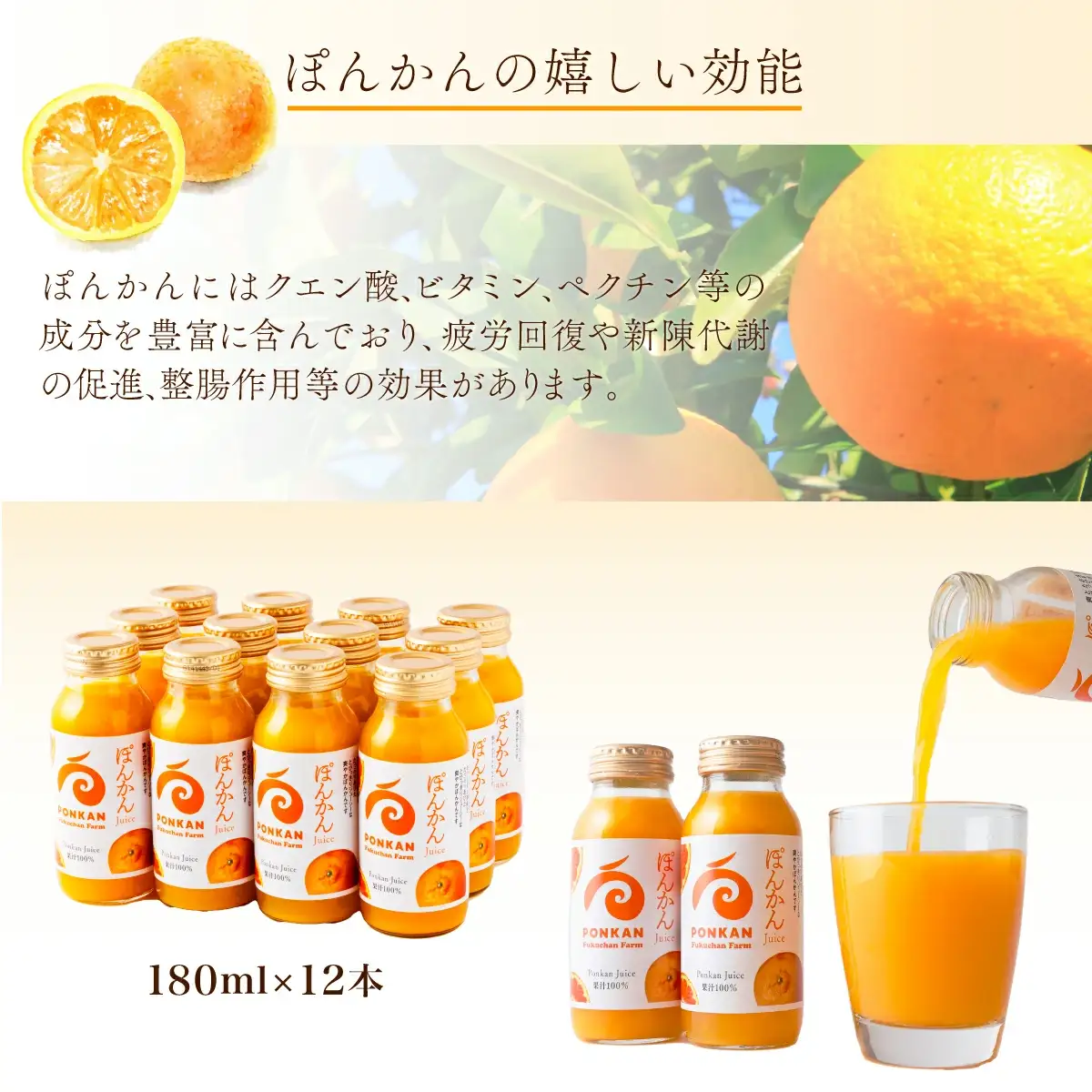 ぽんかんジュース180ml 12本入り 国産 東洋町産 果汁100% フレッシュジュース 酸味 着色料保存料不使用 四国 お取り寄せ フルーツ 果汁飲料 送料無料 F137 【株式会社フクチャンFARM】