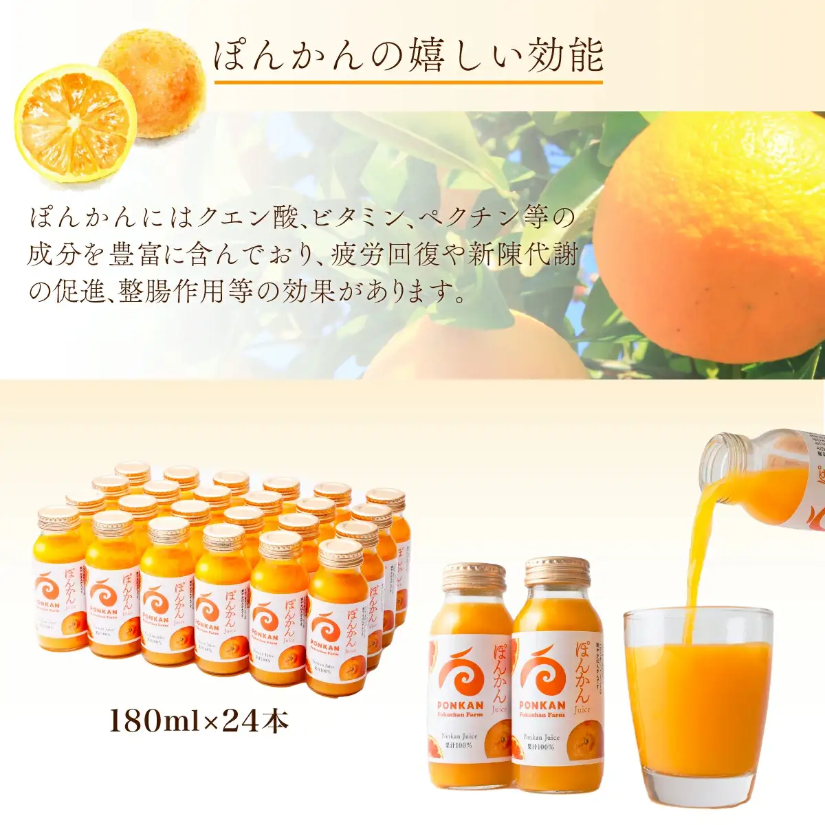 ぽんかんジュース180ml 24本入り 国産 東洋町産 果汁100% フレッシュジュース 酸味 着色料保存料不使用 四国 お取り寄せ フルーツ 果汁飲料 送料無料 F138 【株式会社フクチャンFARM】