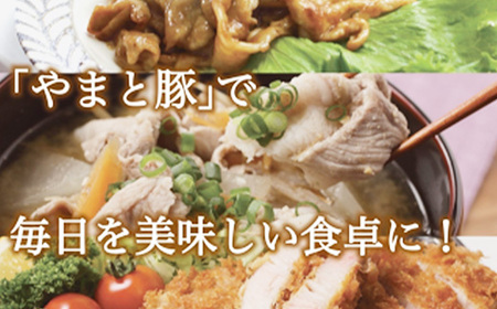 岩手県産やまと豚5種約2.6kg 国産 肉 豚肉 真空パック 小分け