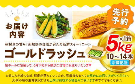【先行予約 6月下旬から出荷】 スイートコーン 約5kg 10-14本 冷蔵 国産 先行予約 数量限定 コーン 野菜 新鮮 焼き 蒸し 産地 直送 甘い 甘口 子ども 子供 小分け 種子 肥料 さわやか すっきり 糖度 黄色 人気 おすすめ 愛知県 南知多町