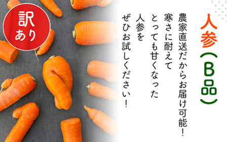 【12月～2月発送】【栽培期間中農薬不使用】訳あり人参５㎏ AIBA FARM　Ｂ品 / 野菜 やさい にんじん 人参 ニンジン 名産 特産 甘い 美味しい 訳あり 不揃い B級 健康 ヘルシー フードロス AIBA FARM アイバファーム 千葉県 富里市 TML006