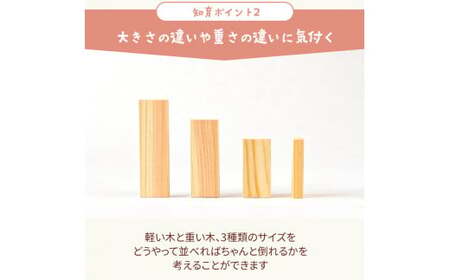森のドミノさん【専用収納木箱付きドミノピース】