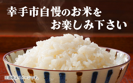 令和7年幸手産 こしひかり【精米】5㎏×2袋 - コシヒカリ 精米 10kg 令和7年産 埼玉県 幸手市 幸手市産