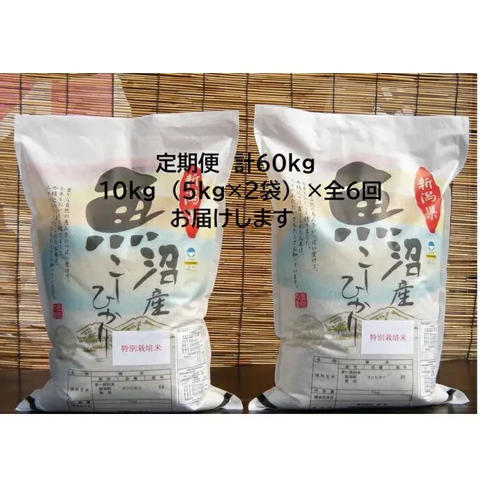 【令和７年産】6か月定期便　がんこおやじが作った南魚沼産コシヒカリ白米10kg（5kg×2袋）【定期便 銘柄米 ブランド米 精米 こしひかり コシヒカリ 魚沼産 新潟米 産地直送 お米 米 こめ コメ ご飯 御飯 ごはん】
