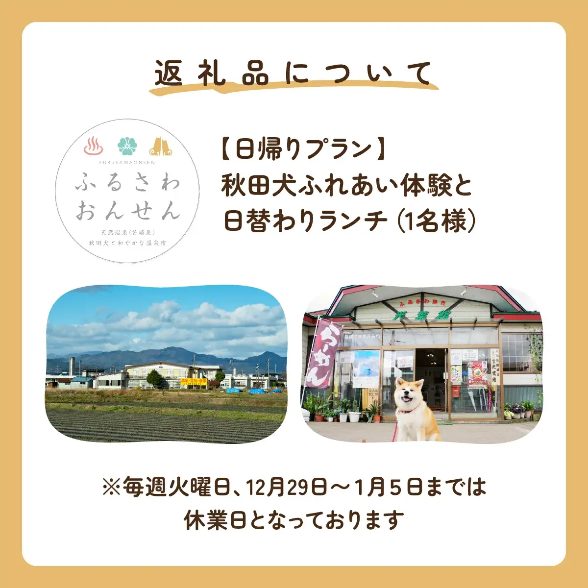 【日帰りプラン】秋田犬ふれあい体験ときりたんぽ定食　70P8402