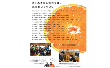 【2026年12月中旬頃から順次発送】訳あり 温州みかん 5kg  |  みかん ミカン 蜜柑 柑橘  うんしゅうみかん 愛媛県産 甘い 愛媛みかん フレッシュ おいしい フルーツ 規格外 わけあり 産地直送 果物 数量限定 国産 くだもの  愛媛県 松山市【KR009】