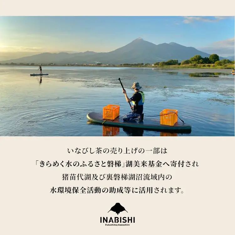 猪苗代湖産 ひし茶 (贈答用) 3パック ティーバッグ 贈答用 茶 福島