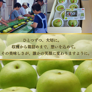 【先行予約】福賀の二十世紀梨 約3kg（7玉） 阿武町産 高糖度＆安心栽培 昼夜の寒暖差が生むシャキシャキ食感 数量限定 なし 梨 ナシ フルーツ 果物 旬 《お届け：2026年8月下旬～9月中旬頃出荷》 山口県 阿武町産 デザート