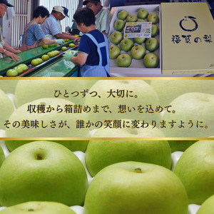【先行予約】福賀の二十世紀梨 約5kg（12～18玉） 阿武町産 高糖度＆安心栽培 昼夜の寒暖差が生むシャキシャキ食感 数量限定 なし 梨 ナシ フルーツ 果物 旬 《お届け：2026年8月下旬～9月中旬頃出荷》 山口県 阿武町産 デザート