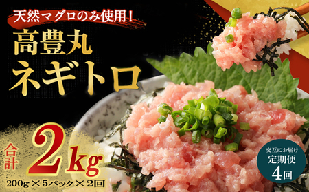 【交互定期便 / ４ヶ月連続】 土佐流藁焼きかつおのたたき２節と高豊丸ネギトロ１kg 魚介類 海産物 カツオ 鰹 わら焼き 高知 コロナ 緊急支援品 海鮮 冷凍 家庭用 訳あり 不揃い 規格外 連続 ４回 小分け 個包装 まぐろ マグロ 鮪 交互 頒布会
