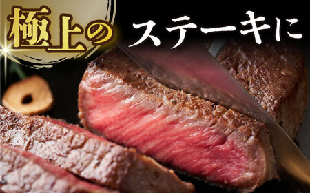 【2回定期便】A4-A5 長崎和牛 モモステーキ (100g×5)   [DBS129] ステーキ