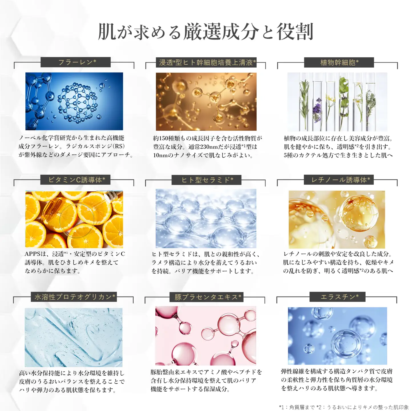 ブランティエ Aセット 2点  / 美容 美容 化粧品
