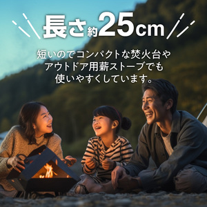 乾燥薪　約20kg（10kg×2箱）[087Y08]キャンプギア キャンプグッズ キャンプ料理 キャンプデビュー キャンプ飯