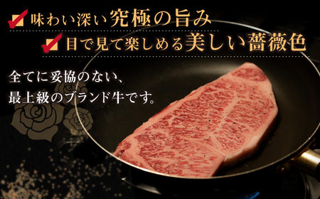 【全3回定期便】長崎和牛出島ばらいろ 特選霜降サーロインステーキ 500g以上（約250g×2枚） [RCI011] 長崎和牛 サーロイン 定期便 長崎和牛 サーロイン 定期便九州 長崎