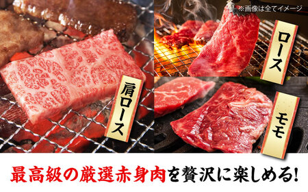 牛肉 赤身 食べ比べ 焼肉用 （モモ・肩ロース・ロース）食べ比べ（3人前）[AGCC026]