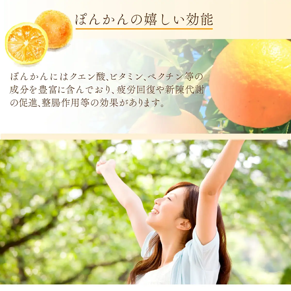 ぽんかんジュース180ml　贈答用10本入り 国産 東洋町産 果汁100% フレッシュジュース 酸味 着色料保存料不使用 四国 お取り寄せ フルーツ 果汁飲料 送料無料 ギフト 贈り物 プレゼント F144 【株式会社フクチャンFARM】
