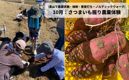 里山で農業体験・植樹・蕎麦打ち・ノルディックウォークで心身共に健康に！もみじの郷体験チケット20,000円分 (1000円×20枚） 156002