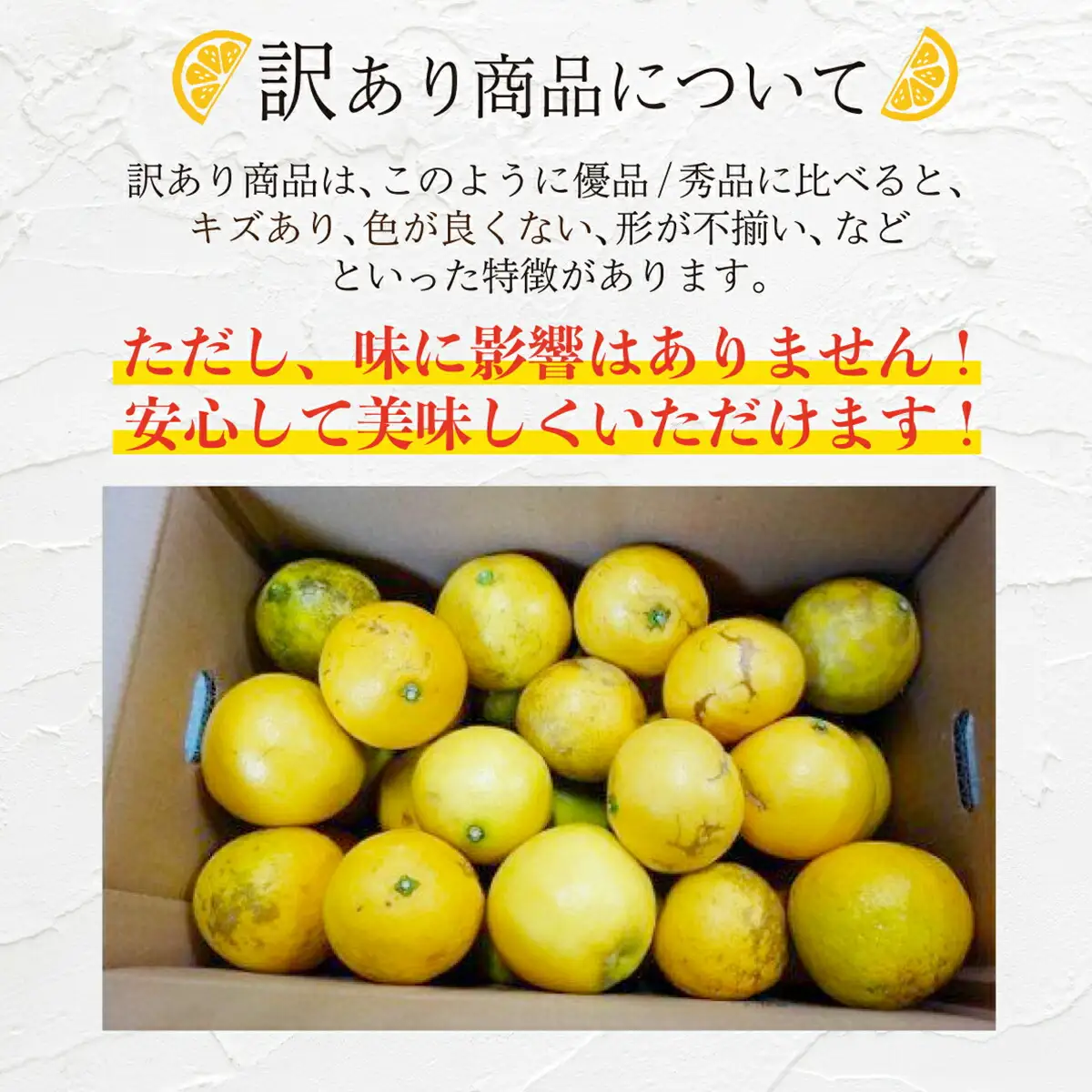 ＜先行予約＞【訳アリ】西内小夏 10kg　