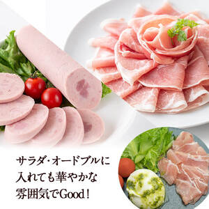 国産豚使用！ハム5種＆大根ポンズセット約920g(ボンレスハムスライス80g・ベーコンスライス80g・ポークソーセージ200g・生ハム切り落とし60g・荒挽きウインナー500g・大根ポンズ170g) a1-173