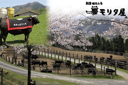 【モリタ屋】京都肉 しゃぶしゃぶ用 500g 肩ロース 国産和牛 [020MT004]