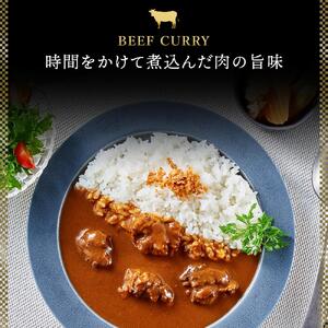 「星空の黒牛」カレー・シチュー・スープカレーセットC 8食　|  スープカレー